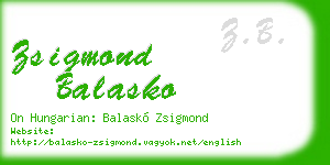 zsigmond balasko business card
